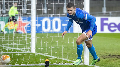 己的决心 己的决心